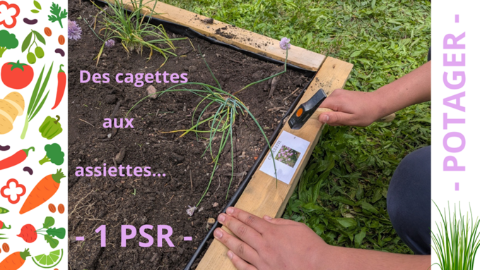Des cagettes aux assiettes.png